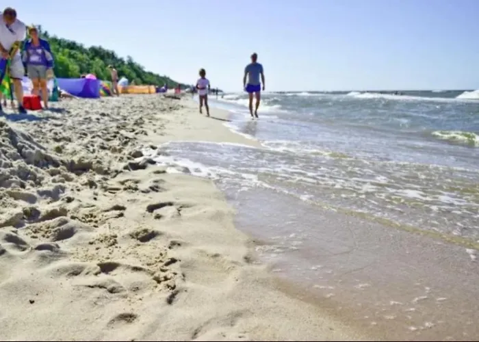 Elegant - Easy - Rent